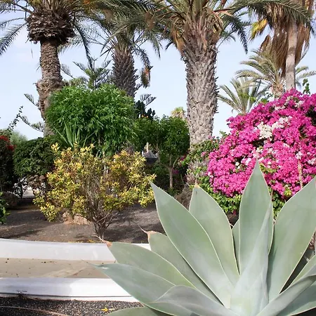 Casa Rosas By Buenavilla Holiday home *
